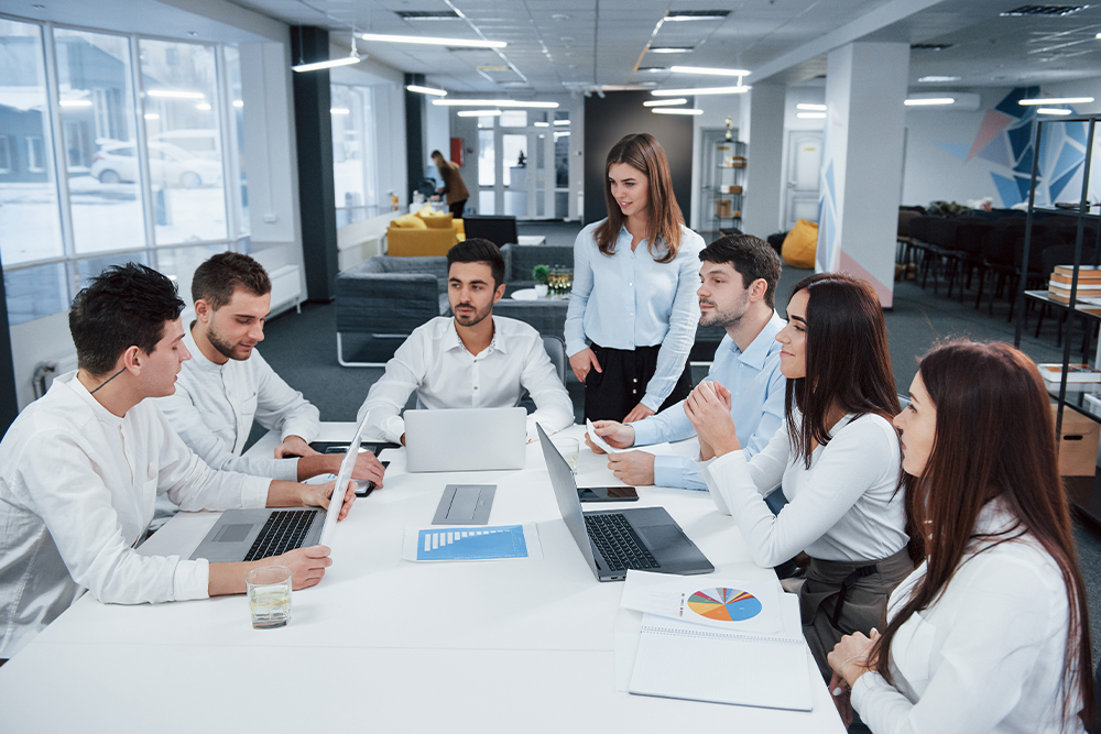 Employment Background Verification Services